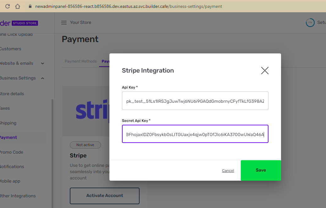 setup payments